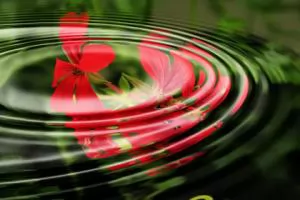 Agricultural Irrigation Water Reuse