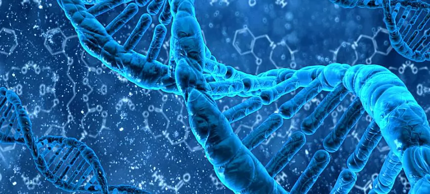 Solid Phase Peptide Synthesis-SEPLITE