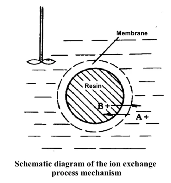 Ion exchange process mechanism