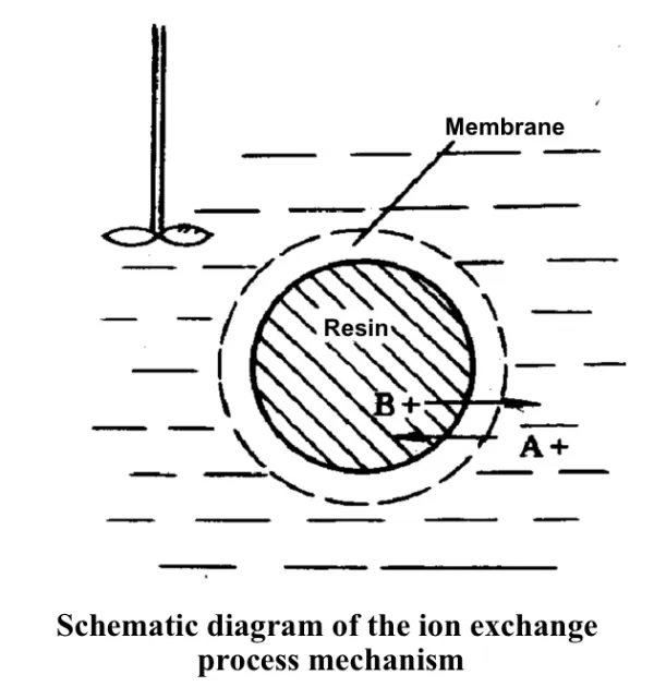 Механизм процесса ионного обмена
