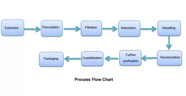Process Flow Chart_Seplite