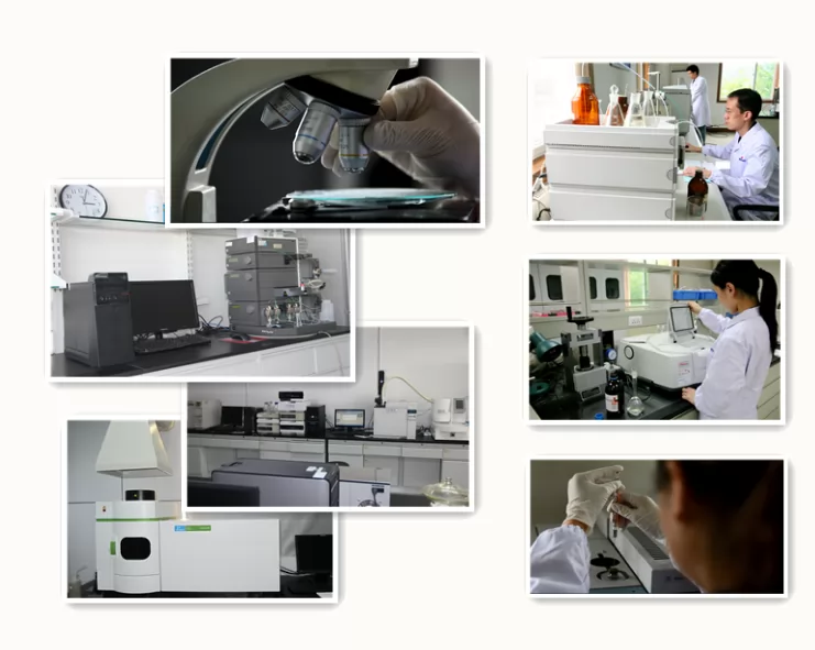 Precise Analytical Instruments-SEPLITE